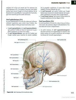 Grays anatomie