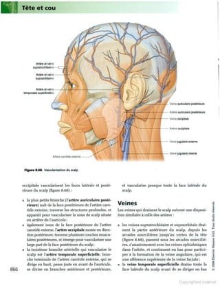 Grays anatomie