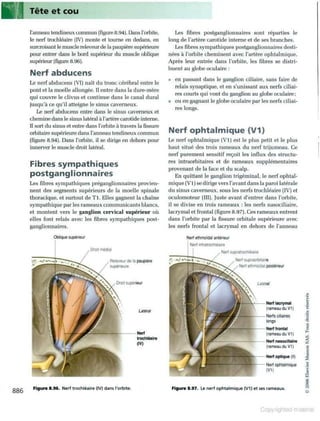Grays anatomie