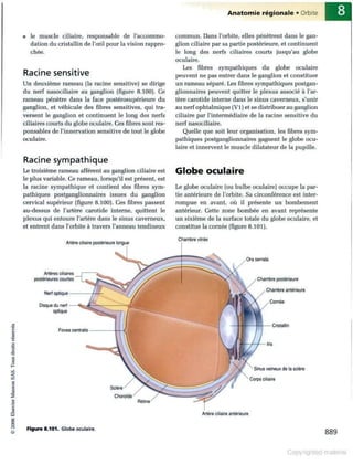 Grays anatomie