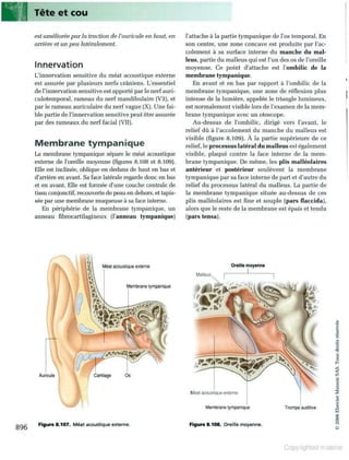 Grays anatomie