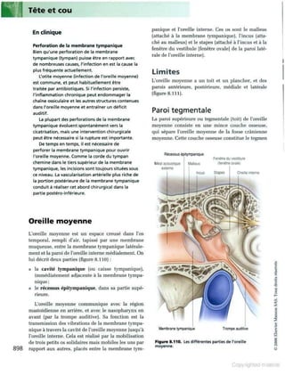 Grays anatomie