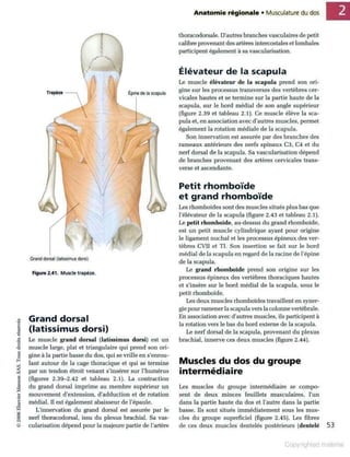 Grays anatomie