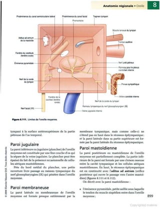 Grays anatomie
