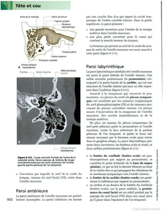 Grays anatomie