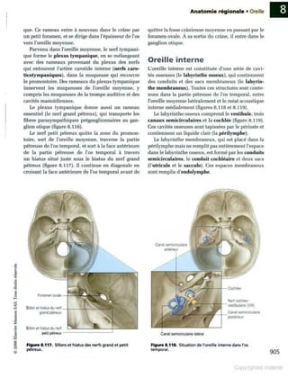 Grays anatomie