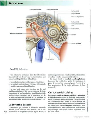 Grays anatomie