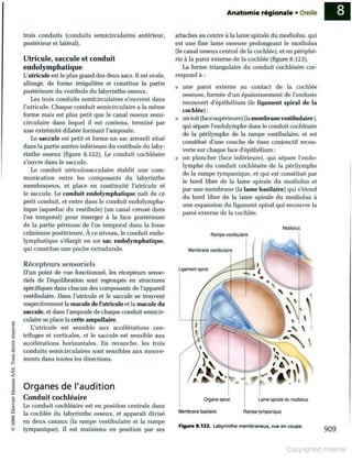 Grays anatomie
