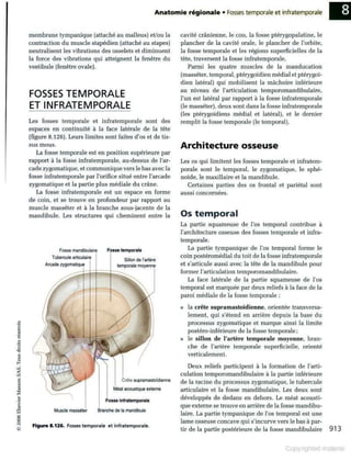 Grays anatomie