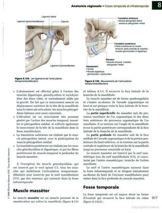 Grays anatomie