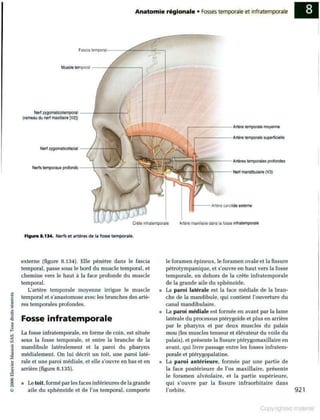 Grays anatomie
