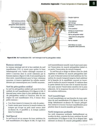 Grays anatomie