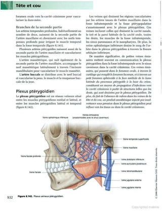 Grays anatomie