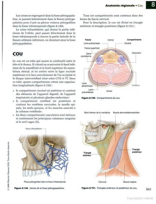 Grays anatomie