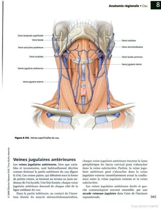 Grays anatomie