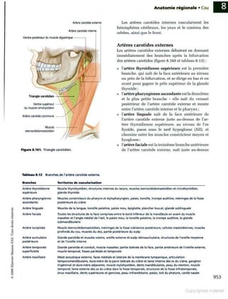 Grays anatomie