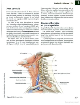 Grays anatomie