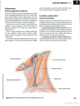 Grays anatomie