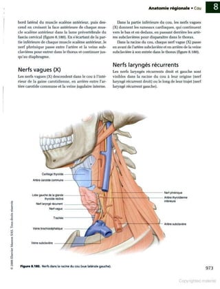 Grays anatomie