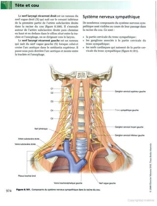 Grays anatomie
