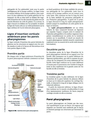 Grays anatomie