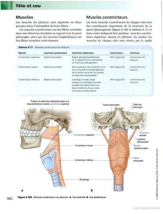 Grays anatomie