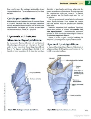 Grays anatomie