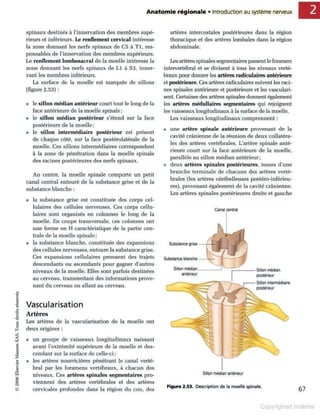 Grays anatomie