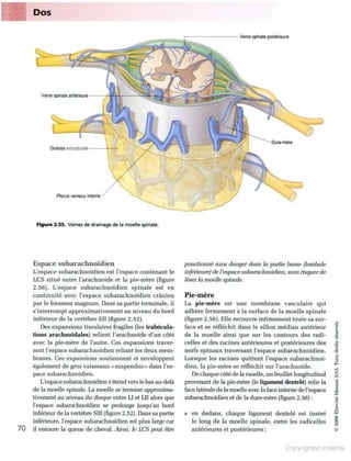 Grays anatomie