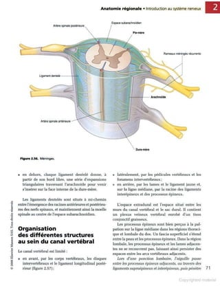 Grays anatomie