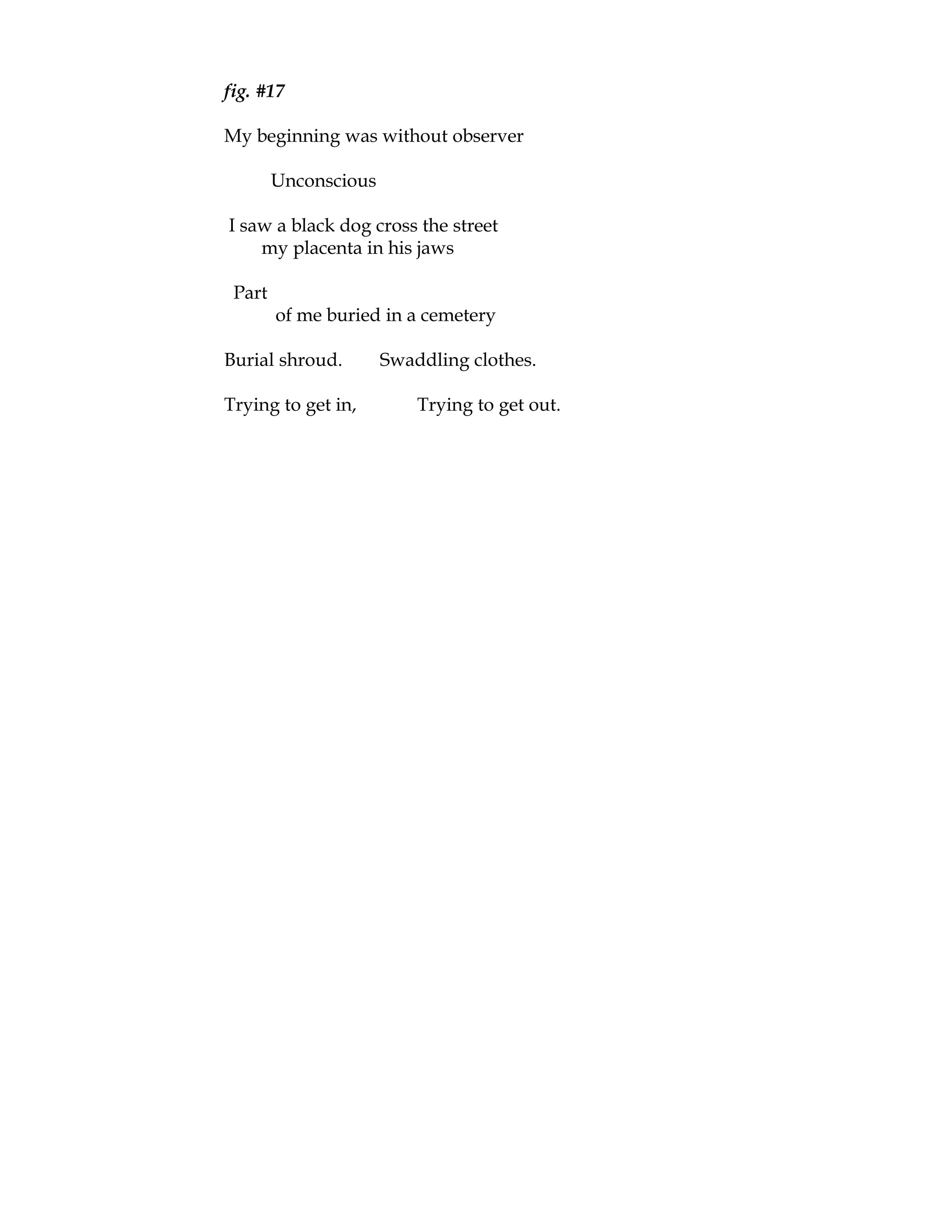 fig. #17

My beginning was without observer

        Unconscious

I saw a black dog cross the street
    my placenta in his jaws

 Part
        of me buried in a cemetery

Burial shroud.        Swaddling clothes.

Trying to get in,         Trying to get out.
 