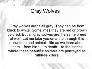 Gray Wolves Gray wolves aren't all gray. They can be from black to white. Sometimes they are red or brown colored. But all gray wolves are the same breed of wolf. Let me take you on a trip through this misunderstood animal's life as we learn about them... from birth... to death... to the stories where these beautiful animals are portrayed as ruthless killers. 