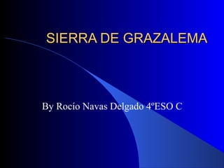 SIERRA DE GRAZALEMA



By Rocío Navas Delgado 4ºESO C
 