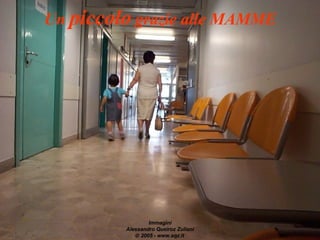 Un  piccolo  grazie alle MAMME Immagini Alessandro Queiroz Zuliani    2005 - www.aqz.it   