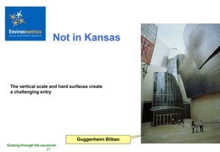 Not in Kansas Guggenheim Bilbao The vertical scale and hard surfaces create a challenging entry 