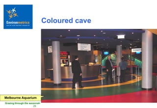 Coloured cave Melbourne Aquarium 