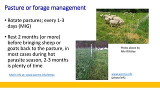 Pasture or forage management
• Rotate pastures; every 1-3
days (MIG)
• Rest 2 months (or more)
before bringing sheep or
go...
