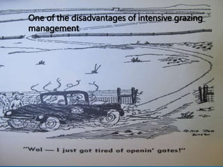 One of the disadvantages of intensive grazing
management.
 