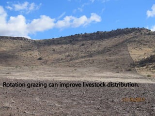 Rotation grazing can improve livestock distribution.
 