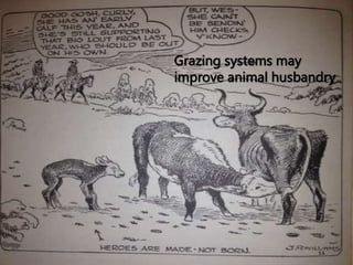 Grazing systems may
improve animal husbandry
 