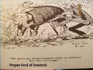 Proper kind of livestock.
 