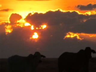 Grazing_management_Talk.ppt