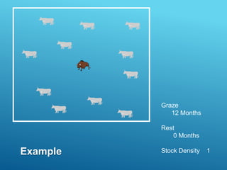Graze
12 Months
Rest
0 Months
Stock Density 1
Example
 