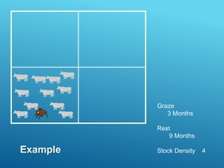 Graze
3 Months
Rest
9 Months
Stock Density 4
Example
 