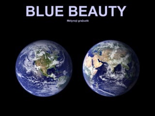 BLUE BEAUTY  M ėlynoji gražuolė 