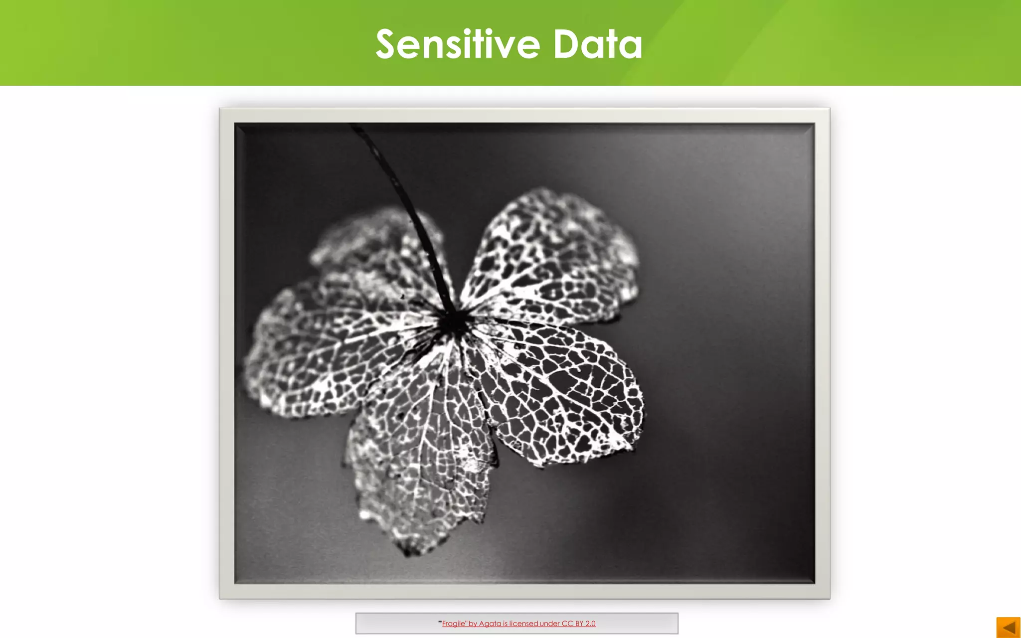 Sensitive Data
""Fragile" by Agata is licensed under CC BY 2.0
 