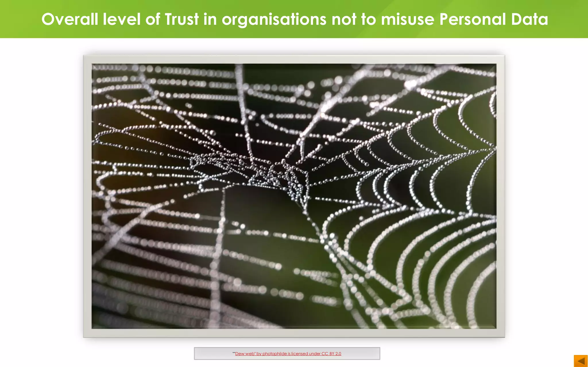 Overall level of Trust in organisations not to misuse Personal Data
""Dew web" by photophilde is licensed under CC BY 2.0
 