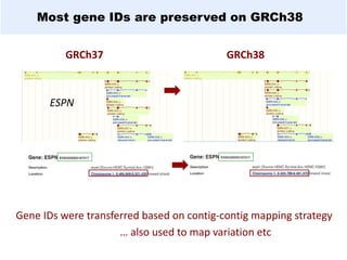 Most gene IDs are preserved on GRCh38
GRCh37 GRCh38
Gene IDs were transferred based on contig-contig mapping strategy
… also used to map variation etc
ESPN
 