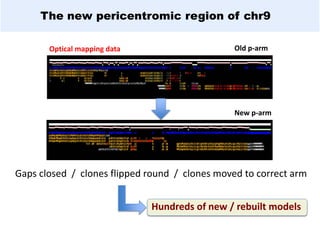 The new pericentromic region of chr9
New p-arm
Gaps closed / clones flipped round / clones moved to correct arm
Optical mapping data
Hundreds of new / rebuilt models
Old p-arm
 