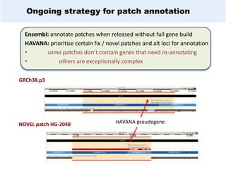 Ongoing strategy for patch annotation
Ensembl: annotate patches when released without full gene build
HAVANA: prioritise certain fix / novel patches and alt loci for annotation
• some patches don’t contain genes that need re-annotating
• others are exceptionally complex
NOVEL patch HG-2048
GRCh38.p3
HAVANA pseudogene
 